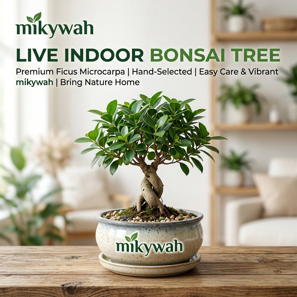 mikywah Round Glazed Ceramic Bonsai Pot with Matching Drainage Saucer – Shallow Speckled Planter Bowl for Ficus, Succulents & Indoor Trees (Pot Only)