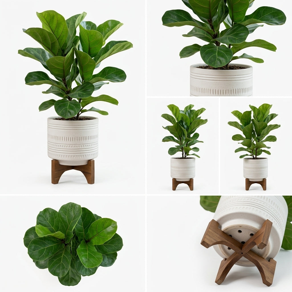 mikywah Mid-Century Ceramic Planter with Elevated Wooden Stand – White Textured Indoor Flower Pot for Fiddle Leaf Fig & Snake Plants