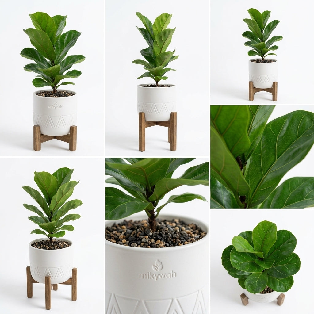 mikywah Mid-Century Ceramic Planter with Elevated Wooden Stand – White Textured Indoor Flower Pot for Fiddle Leaf Fig & Snake Plants