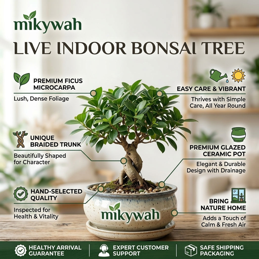 mikywah Round Glazed Ceramic Bonsai Pot with Matching Drainage Saucer – Shallow Speckled Planter Bowl for Ficus, Succulents & Indoor Trees (Pot Only)