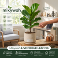 mikywah Modern Sandstone Textured Ceramic Planter – 5.5 Inch Cylinder Flower Pot with Matching Water Tray for Home & Office Decor