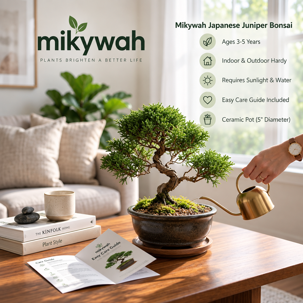 mikywah Japanese Style Glazed Ceramic Bonsai Planter with Saucer – 5-Inch Shallow Desktop Flower Pot for Juniper, Ficus & Herbs