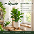 mikywah Mid-Century Ceramic Planter with Elevated Wooden Stand – White Textured Indoor Flower Pot for Fiddle Leaf Fig & Snake Plants