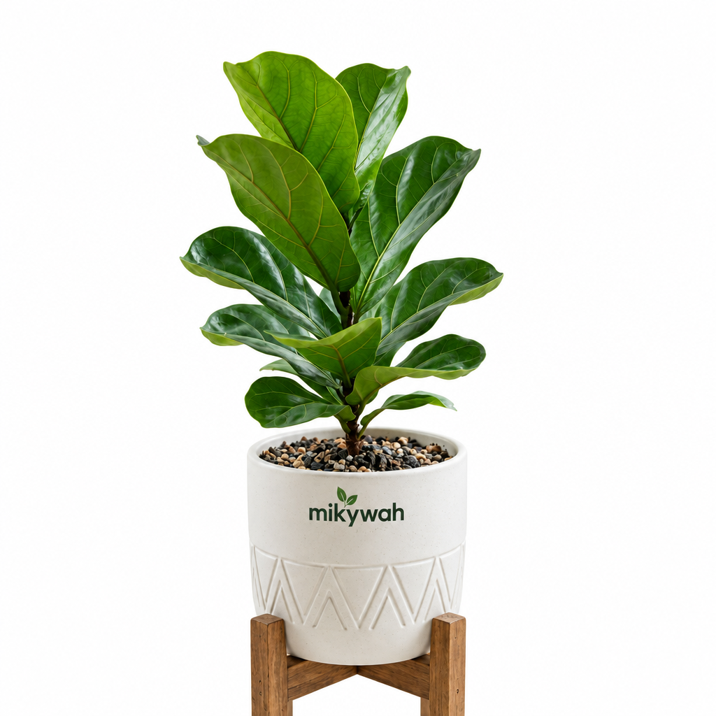 mikywah Mid-Century White Ceramic Planter with Elevated Wooden Stand – Geometric Chevron Flower Pot for Fiddle Leaf Fig & Snake Plants