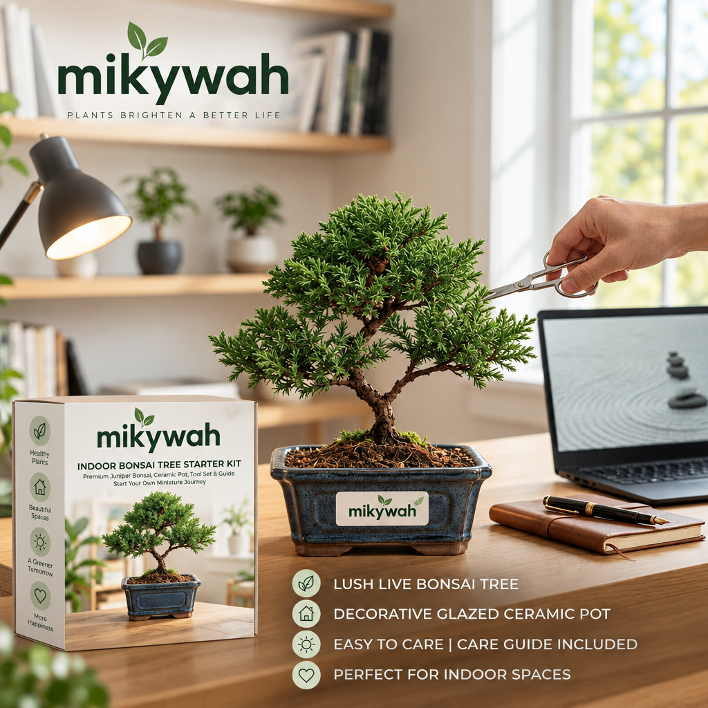 mikywah Traditional Dark Blue Glazed Ceramic Bonsai Training Pot with Natural Bamboo Saucer – Shallow Desktop Planter Container