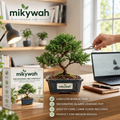 mikywah Traditional Dark Blue Glazed Ceramic Bonsai Training Pot with Natural Bamboo Saucer – Shallow Desktop Planter Container