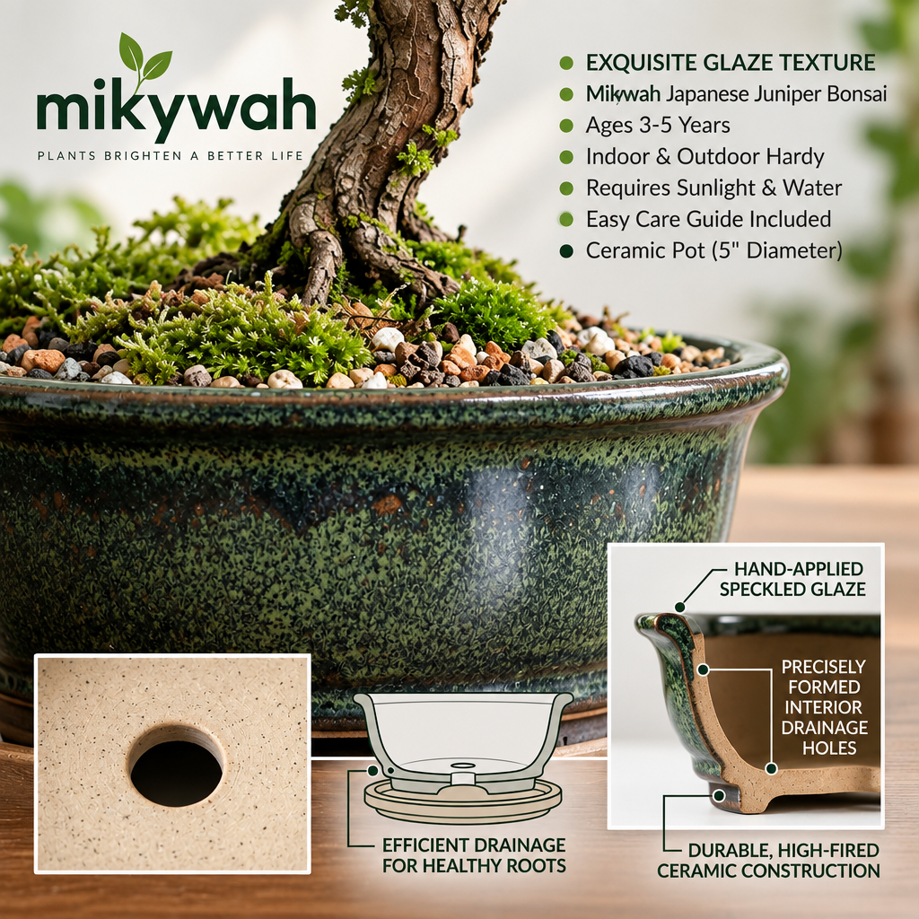 mikywah Japanese Style Glazed Ceramic Bonsai Planter with Saucer – 5-Inch Shallow Desktop Flower Pot for Juniper, Ficus & Herbs