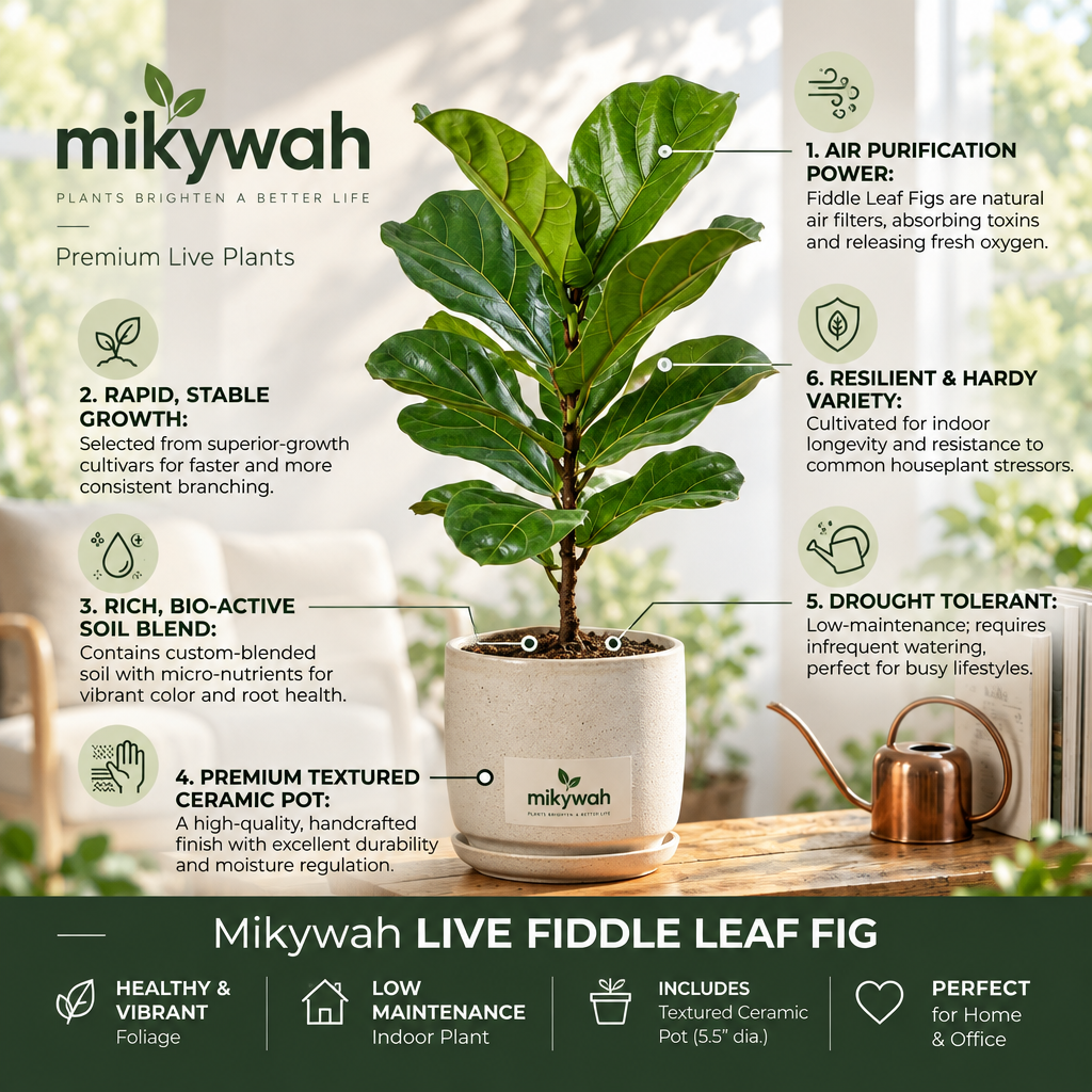 mikywah Modern Sandstone Textured Ceramic Planter – 5.5 Inch Cylinder Flower Pot with Matching Water Tray for Home & Office Decor