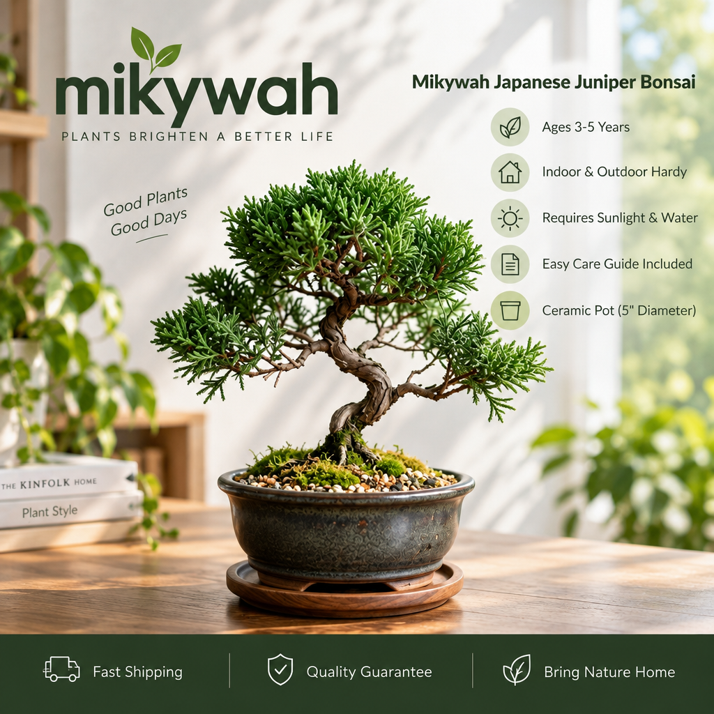 mikywah Japanese Style Glazed Ceramic Bonsai Planter with Saucer – 5-Inch Shallow Desktop Flower Pot for Juniper, Ficus & Herbs