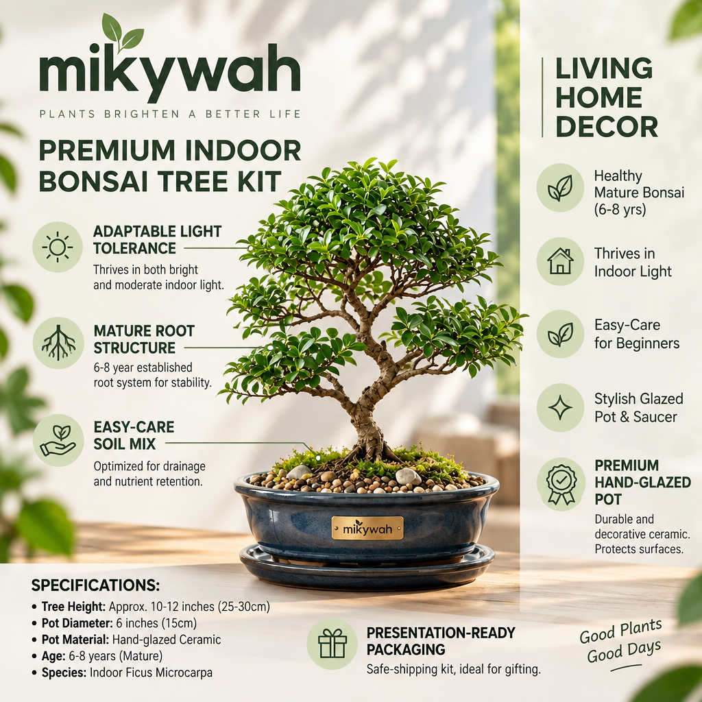 mikywah Ceramic Bonsai Planter Pot with Drainage Holes & Drip Saucer – Heavy-Duty Glazed Oval Plant Container for Ficus & Juniper (Plant Not Included)
