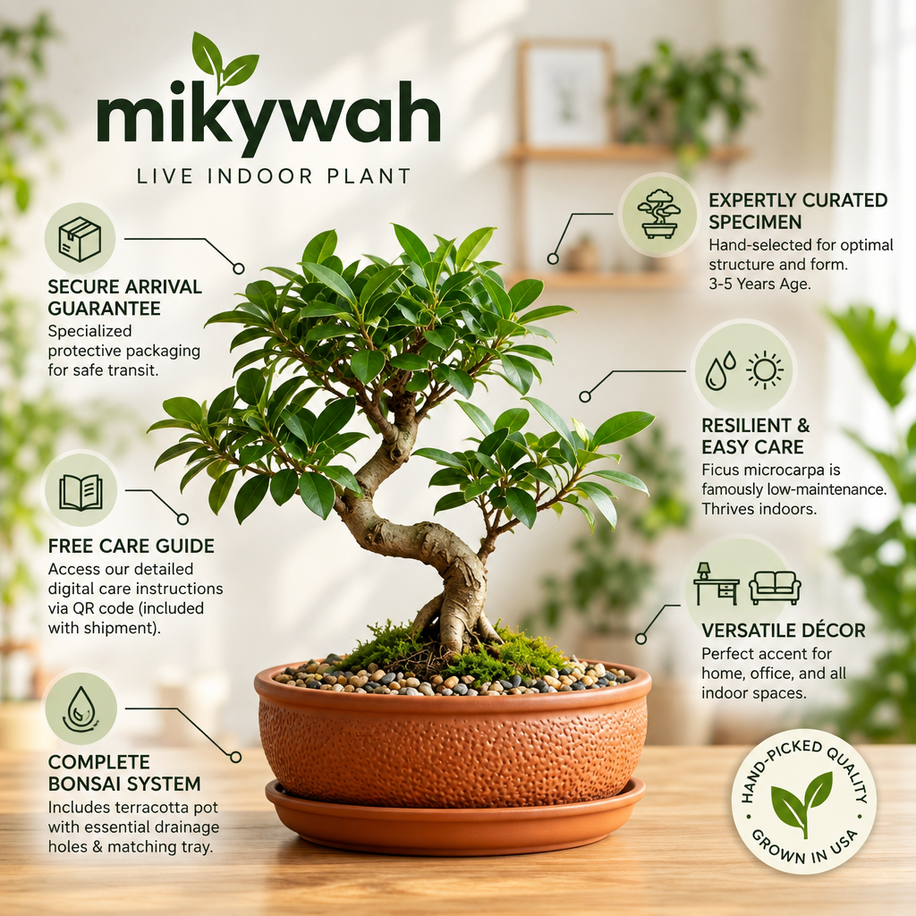 mikywah Round Terracotta Bonsai Pot with Drainage Tray – Textured Ceramic Shallow Planter Bowl for Succulents, Cactus & Indoor Plants