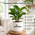 mikywah Matte White Cylinder Ceramic Planter – 5.5 Inch Decorative Desktop Flower Pot for Snake Plants, Pothos & Greenery