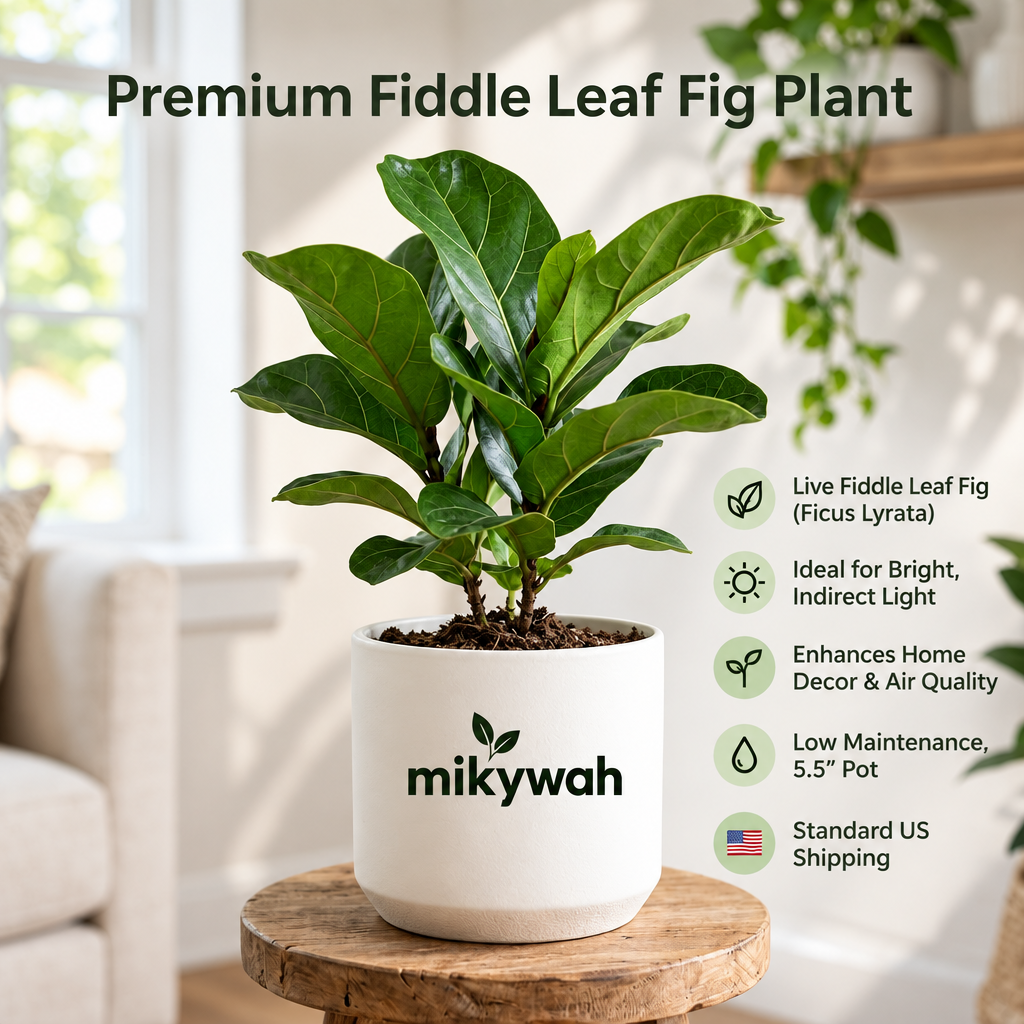 mikywah Matte White Cylinder Ceramic Planter – 5.5 Inch Decorative Desktop Flower Pot for Snake Plants, Pothos & Greenery