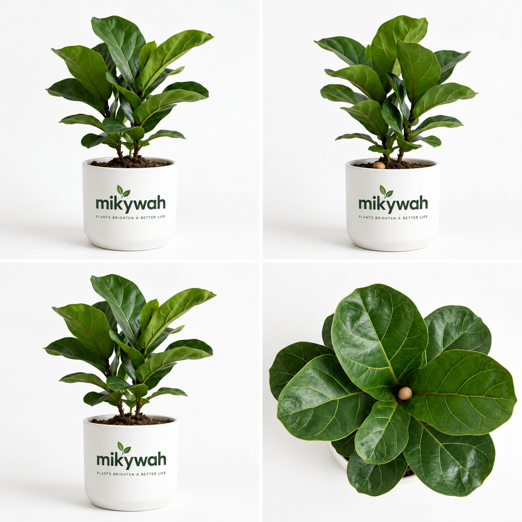 mikywah Mid-Century White Ceramic Planter with Elevated Wooden Stand – Geometric Chevron Flower Pot for Fiddle Leaf Fig & Snake Plants