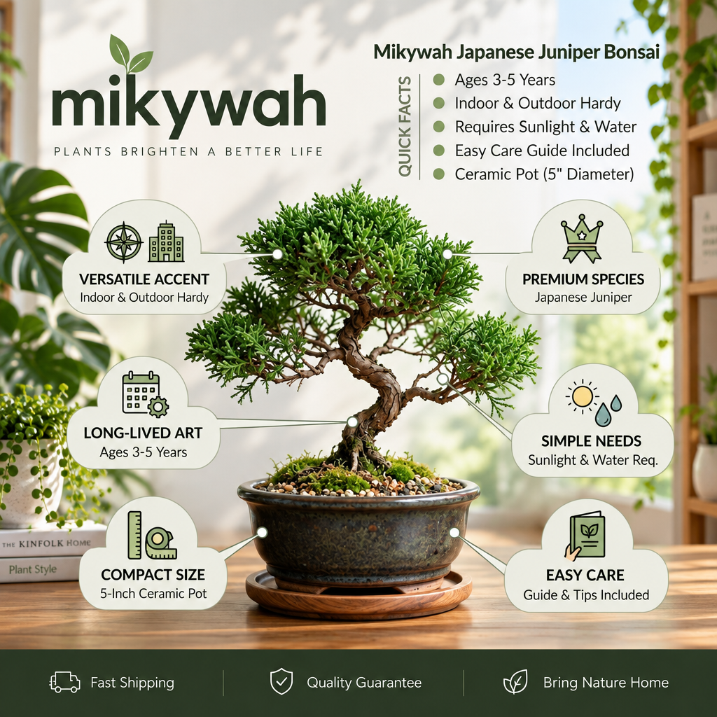 mikywah Japanese Style Glazed Ceramic Bonsai Planter with Saucer – 5-Inch Shallow Desktop Flower Pot for Juniper, Ficus & Herbs