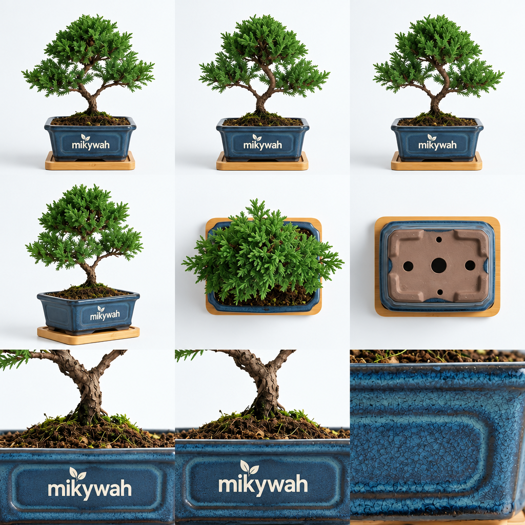 mikywah Ceramic Bonsai Planter Pot with Drainage Holes & Drip Saucer – Heavy-Duty Glazed Oval Plant Container for Ficus & Juniper (Plant Not Included)