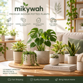 mikywah Modern Ceramic Plant Pots with Drainage Hole & Saucer – Minimalist Matte Indoor Planters for Succulents, Snake Plants & Houseplants