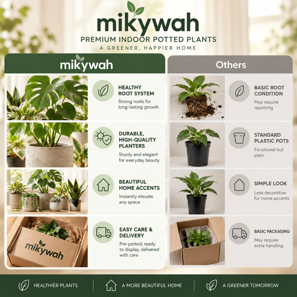 mikywah Modern Ceramic Plant Pots with Drainage Hole & Saucer – Minimalist Matte Indoor Planters for Succulents, Snake Plants & Houseplants