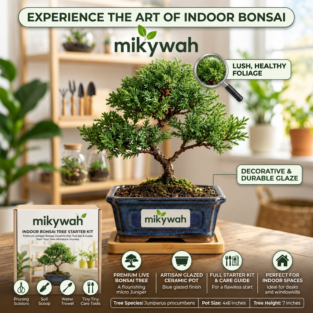 mikywah Traditional Dark Blue Glazed Ceramic Bonsai Training Pot with Natural Bamboo Saucer – Shallow Desktop Planter Container