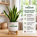 mikywah Speckled Ceramic Planter Pot with Elevated Wood Stand – Indoor Plant Container with Drainage Hole for Succulents & Houseplants (Plant Not Included)