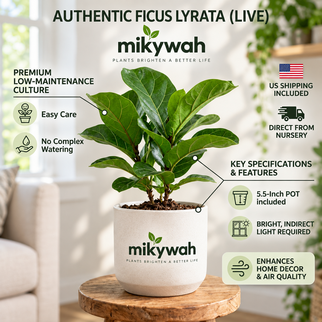 mikywah Matte White Cylinder Ceramic Planter – 5.5 Inch Decorative Desktop Flower Pot for Snake Plants, Pothos & Greenery