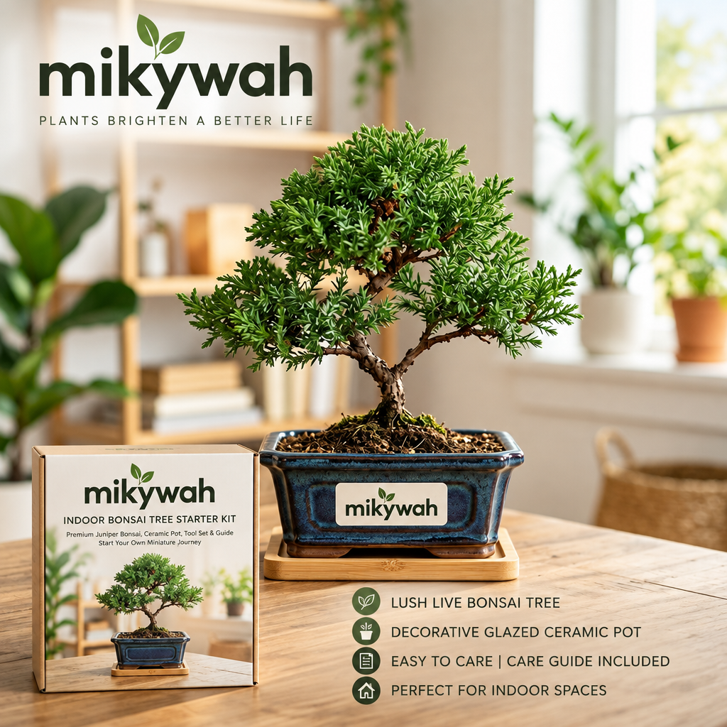 mikywah Traditional Dark Blue Glazed Ceramic Bonsai Training Pot with Natural Bamboo Saucer – Shallow Desktop Planter Container