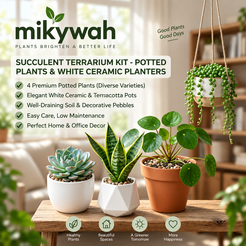 mikywah Modern Ceramic & Terracotta Plant Pot Set of 4 – Hanging String-of-Pearls Pot & Geometric Desktop Planters for Home & Office