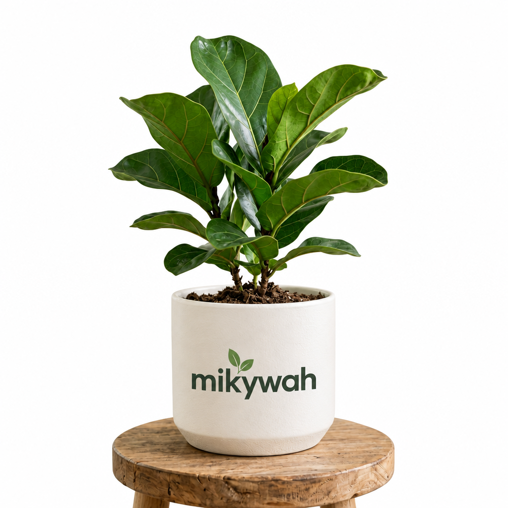 mikywah Matte White Cylinder Ceramic Planter – 5.5 Inch Decorative Desktop Flower Pot for Snake Plants, Pothos & Greenery