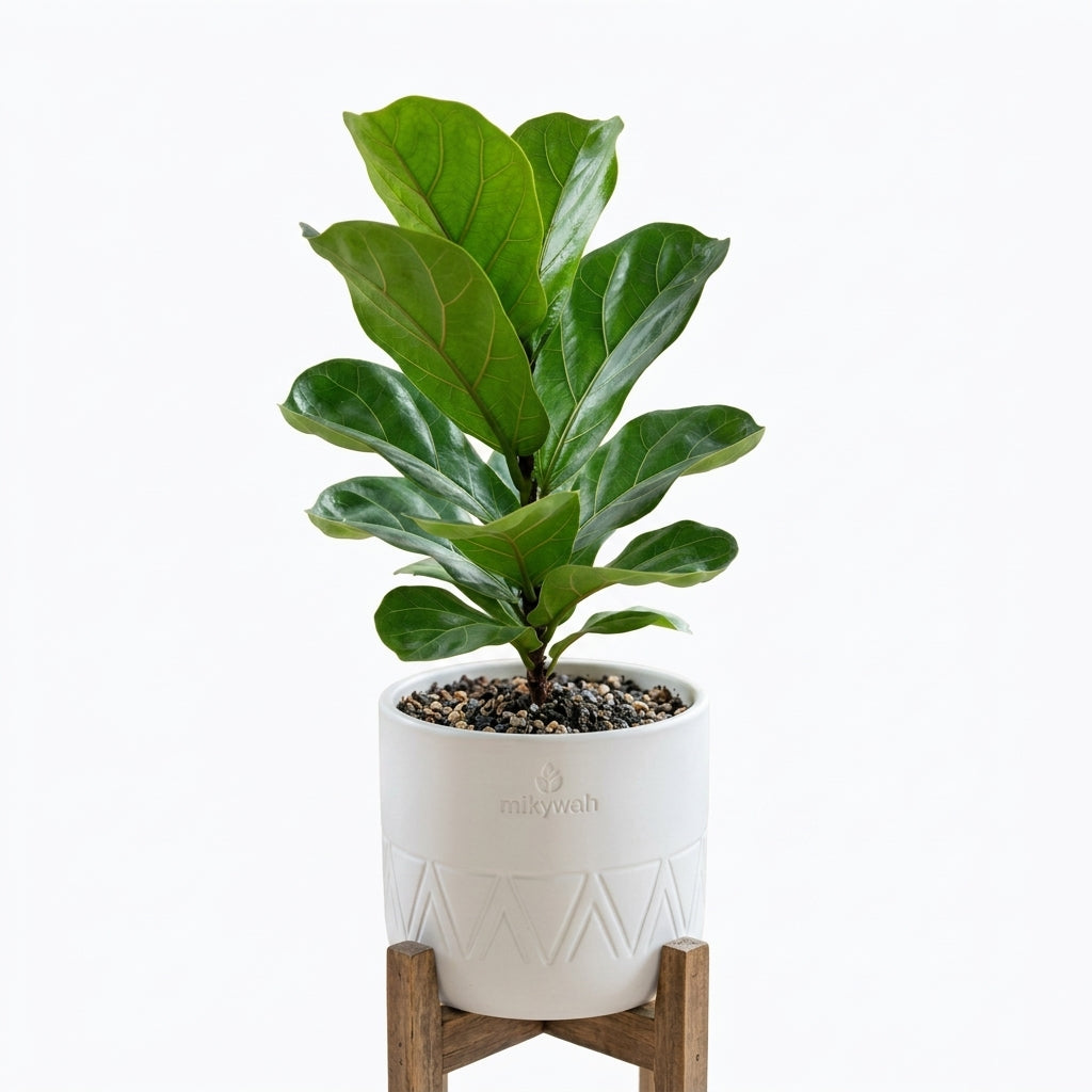 mikywah Mid-Century White Ceramic Planter with Elevated Wooden Stand – Geometric Chevron Flower Pot for Fiddle Leaf Fig & Snake Plants