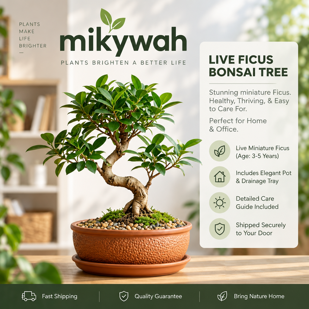 mikywah Round Terracotta Bonsai Pot with Drainage Tray – Textured Ceramic Shallow Planter Bowl for Succulents, Cactus & Indoor Plants