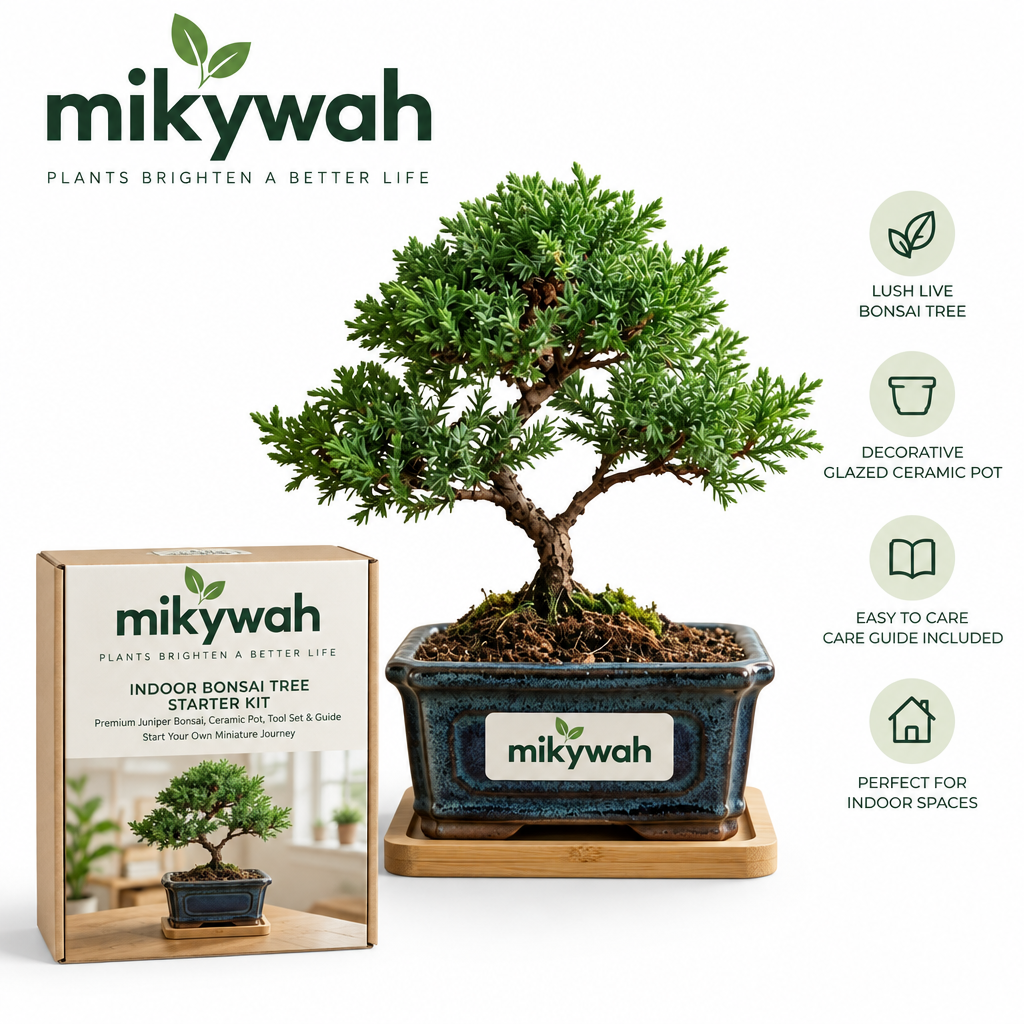 mikywah Traditional Dark Blue Glazed Ceramic Bonsai Training Pot with Natural Bamboo Saucer – Shallow Desktop Planter Container