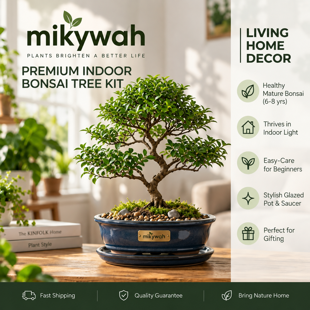 mikywah Ceramic Bonsai Planter Pot with Drainage Holes & Drip Saucer – Heavy-Duty Glazed Oval Plant Container for Ficus & Juniper (Plant Not Included)