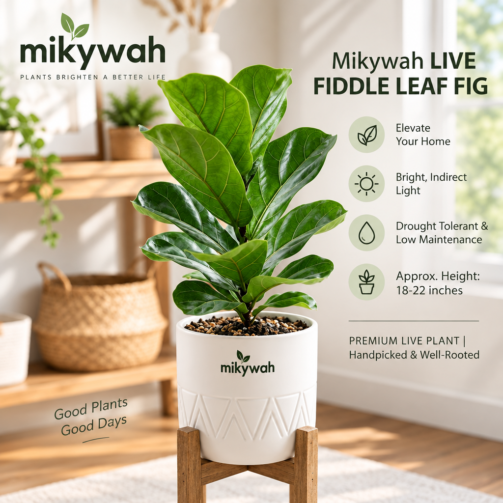 mikywah Mid-Century White Ceramic Planter with Elevated Wooden Stand – Geometric Chevron Flower Pot for Fiddle Leaf Fig & Snake Plants