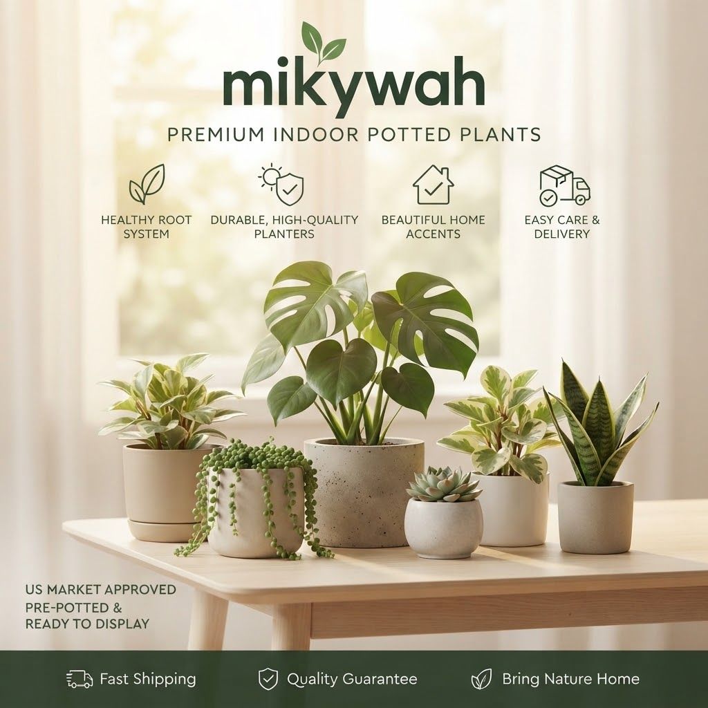 mikywah Modern Ceramic Plant Pots with Drainage Hole & Saucer – Minimalist Matte Indoor Planters for Succulents, Snake Plants & Houseplants