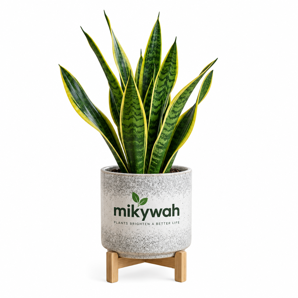 mikywah Speckled Ceramic Planter Pot with Elevated Wood Stand – Indoor Plant Container with Drainage Hole for Succulents & Houseplants (Plant Not Included)